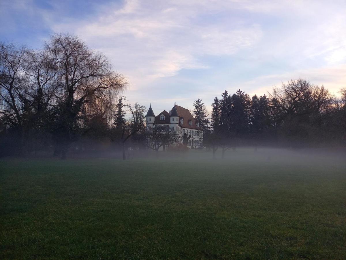 Chateau De Werde Matzenheim Bagian luar foto