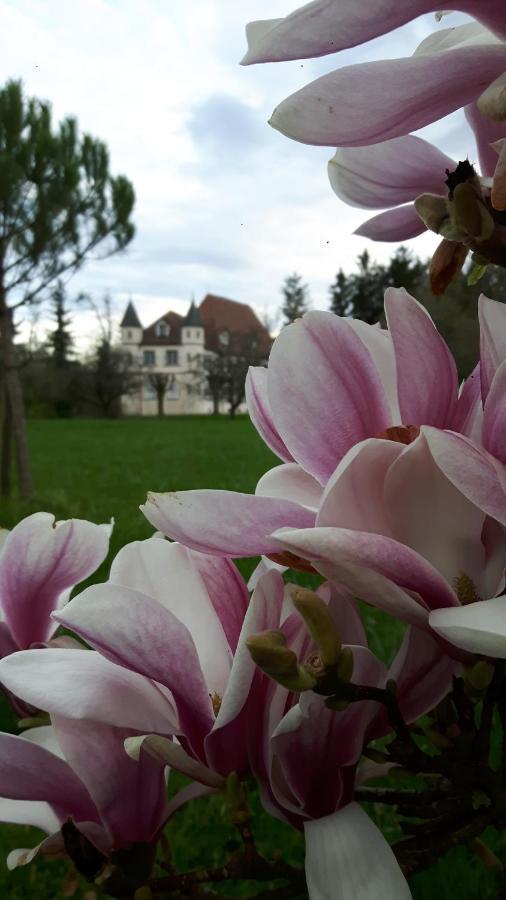 Chateau De Werde Matzenheim Bagian luar foto
