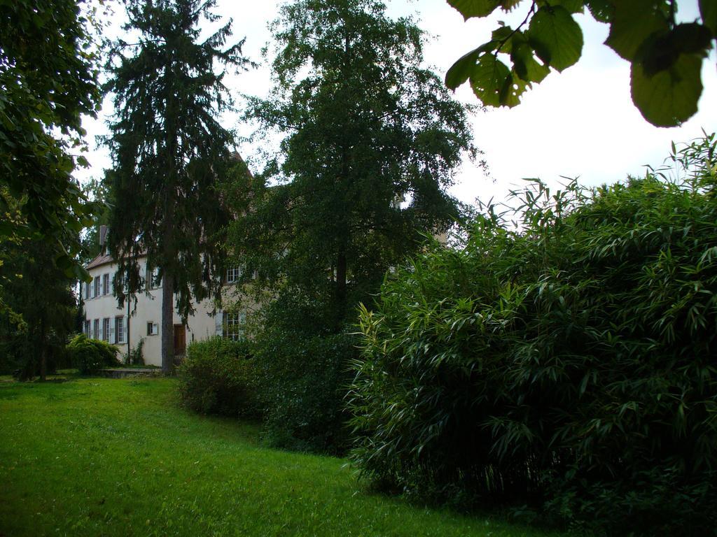 Chateau De Werde Matzenheim Bagian luar foto