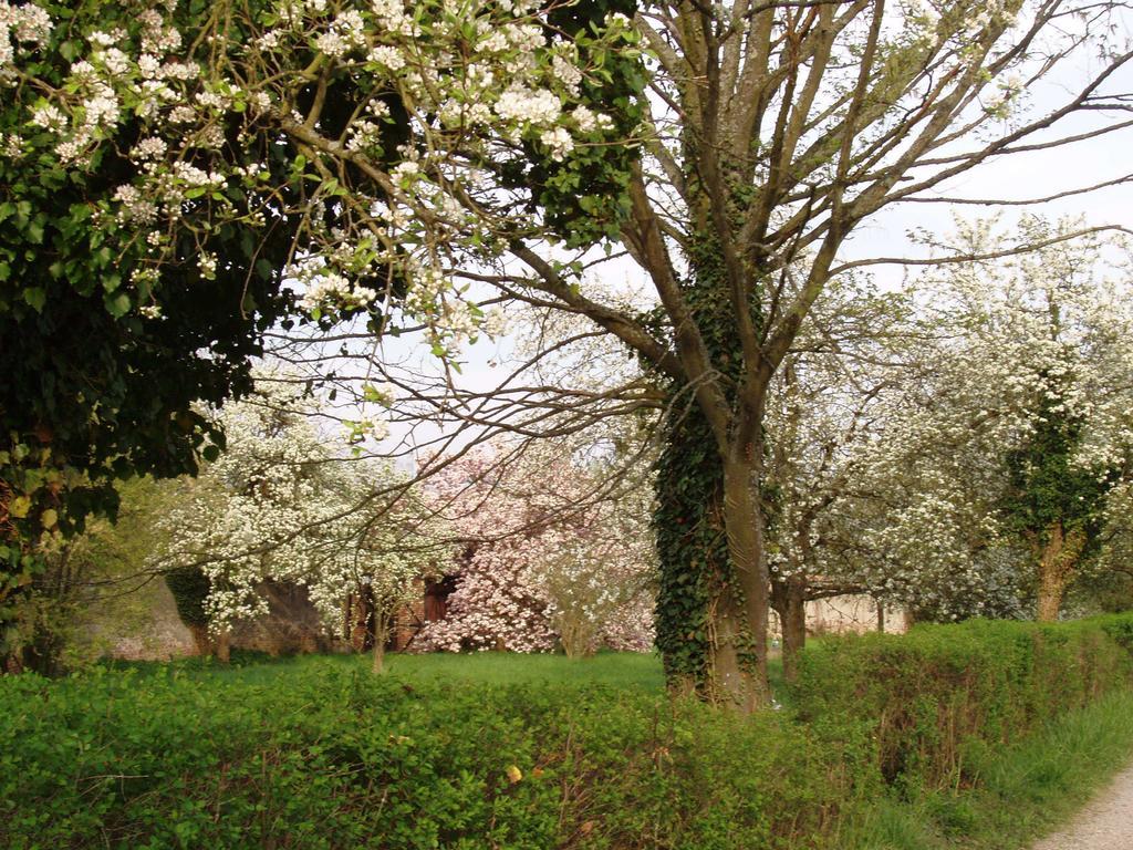 Chateau De Werde Matzenheim Bagian luar foto