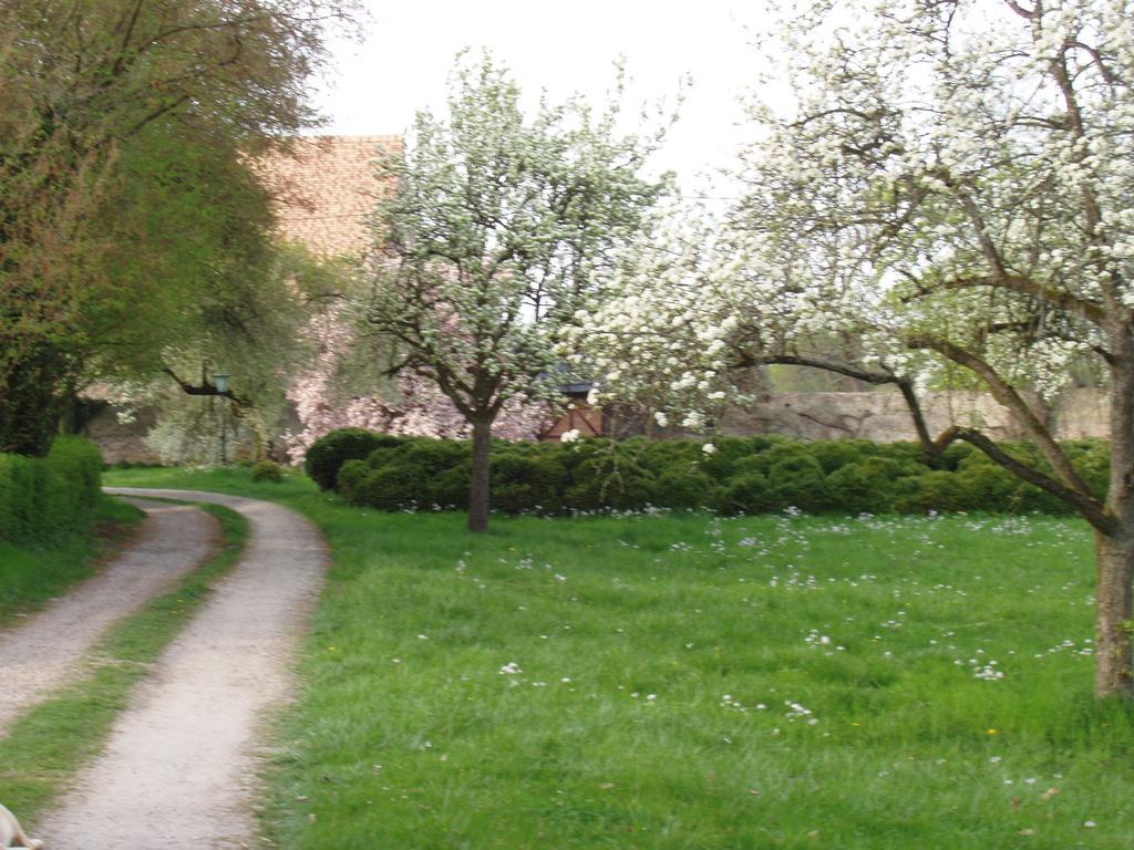 Chateau De Werde Matzenheim Bagian luar foto