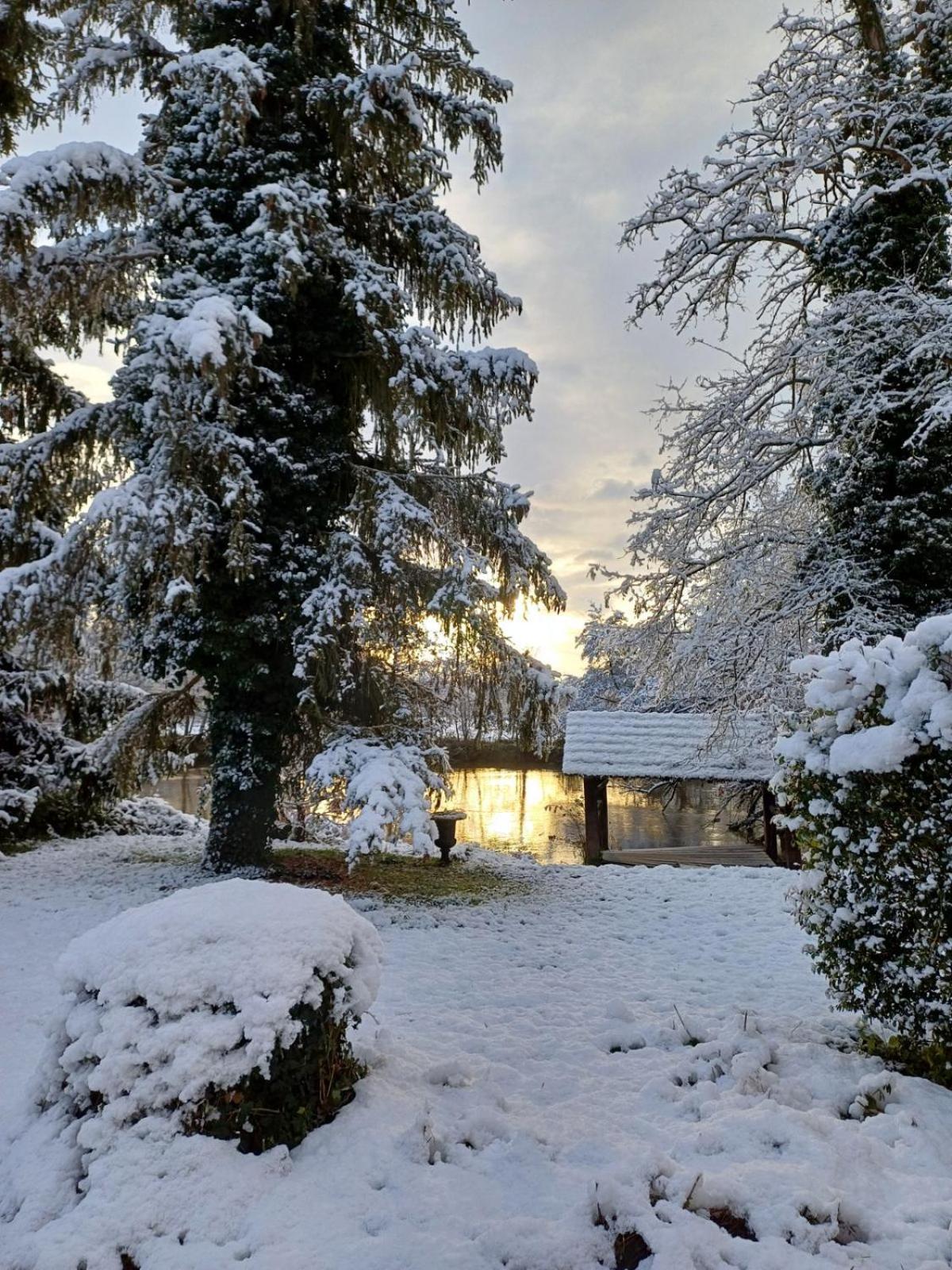 Chateau De Werde Matzenheim Bagian luar foto