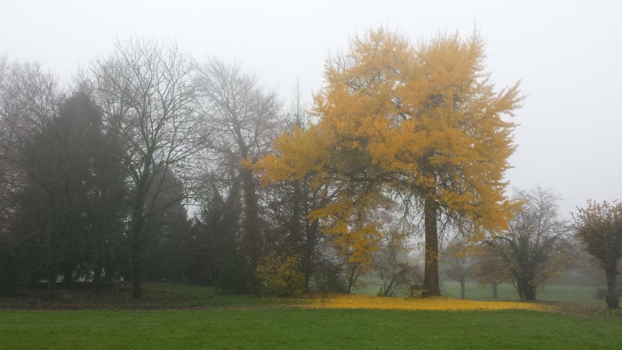 Chateau De Werde Matzenheim Bagian luar foto