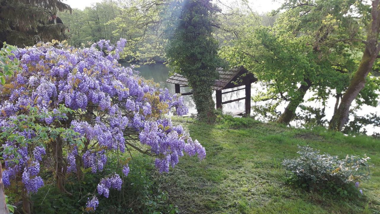 Chateau De Werde Matzenheim Bagian luar foto